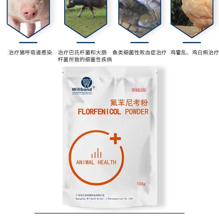 鸡药厂家 国标兽药氟苯尼考10%猪养殖场常备药 鸽子药 鸡鹅鸭通用willbond