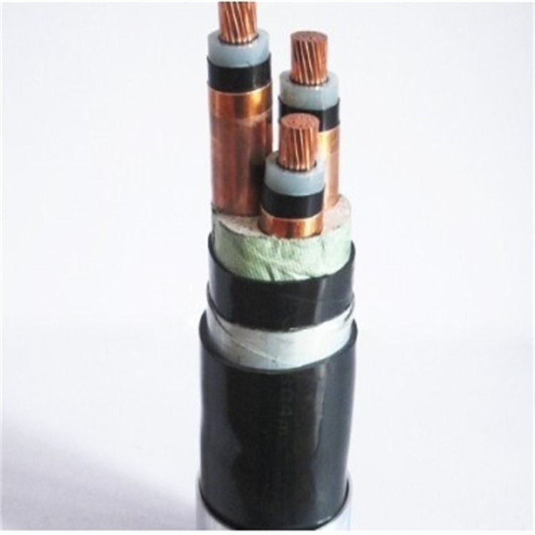 低压铜芯导体钢带铠装电力电缆 YJV22 2x2.5 0.6/1KV