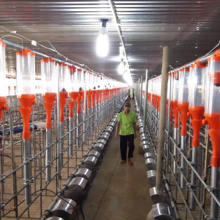沃泰机械 厂家直供 育肥猪饲养料线 全自动上料线 养殖场专用 现货供应