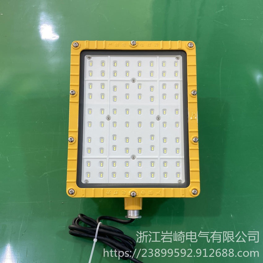 FZD185-206免维护三防LED泛光灯 LED壁式安装防爆防水防尘灯图片