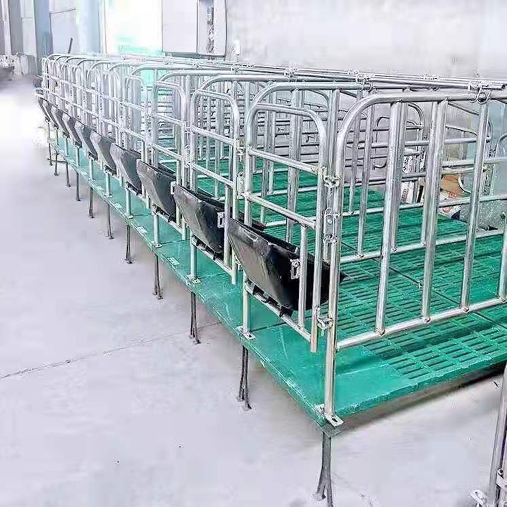 世昌畜牧供应 养殖场设备 限位栏带漏粪板 015