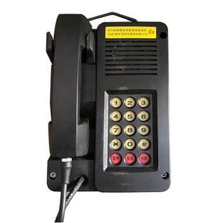 本质安全自动数字电话机 型号:TK53-KTH8 库号：D19076