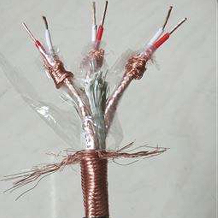 DJYVP 阻燃计算机电线电缆具有低电感集散型仪表信号电缆 信泰图片
