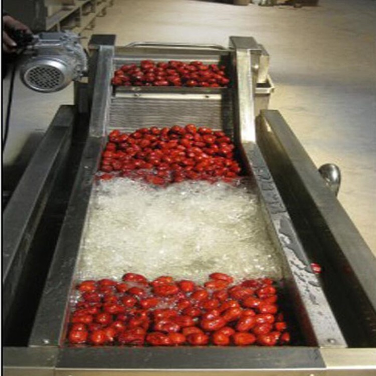 樱桃草莓清洗机 小番茄气泡清洗机 连续式高压喷淋蓝莓清洗机 顺泽机械售后完善