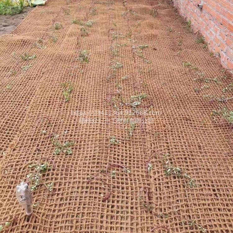 椰网，护坡椰纤维网 挂网喷薄植草绿化网垫 矿坑修复椰网