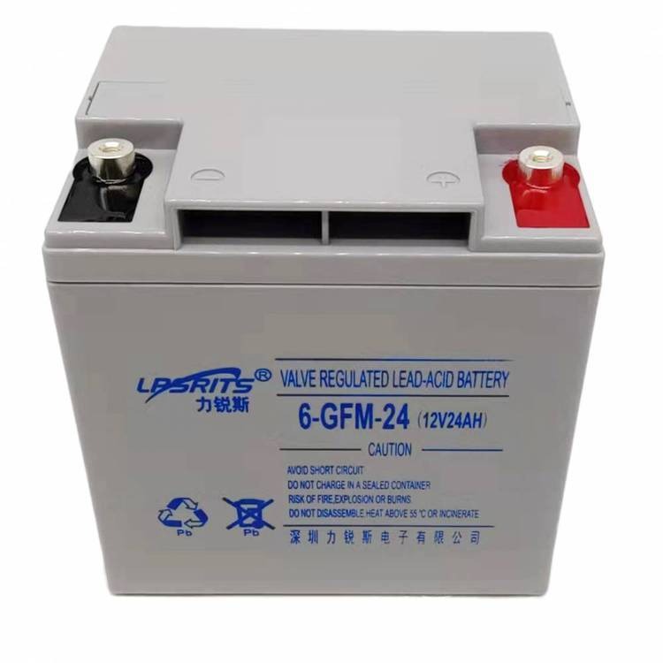 力锐斯蓄电池6-GFMJ-24 12V24AH直流屏 高低压配电柜 UPS/EPS电源图片