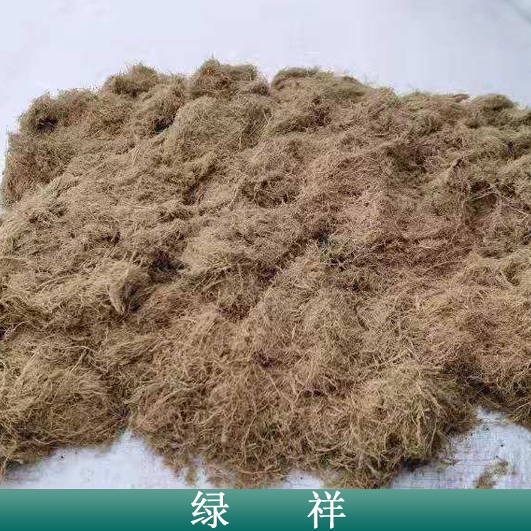 固土毯植草毯 生态修复植草被  营养土绿化毯 欢迎选购