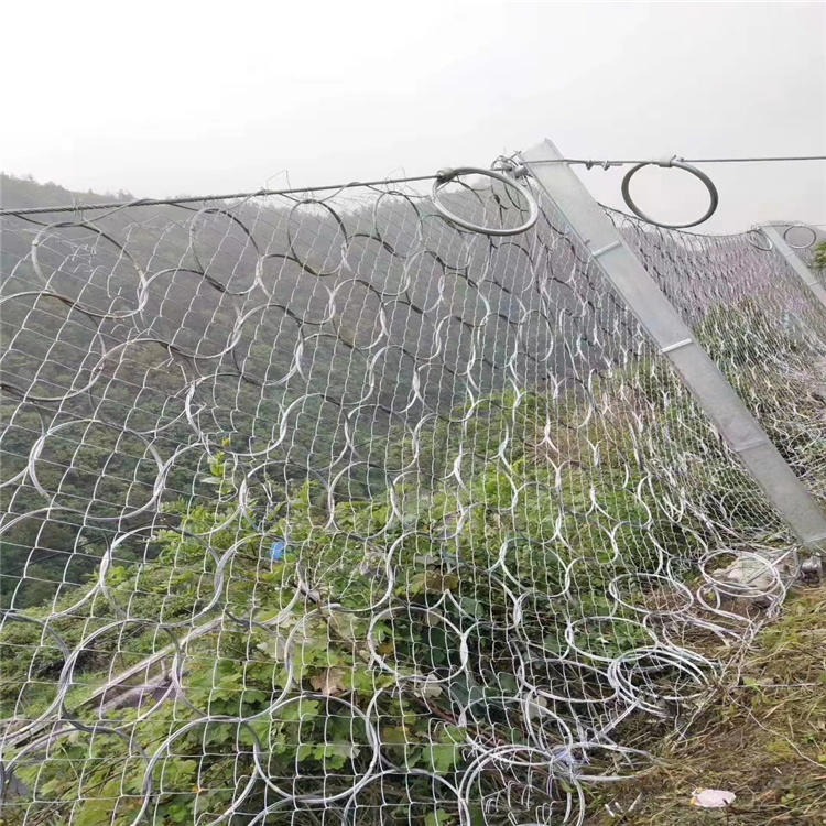 浙江温州RXI-200缠绕环形被动防护网厂家 山体加固主动防护网价格 SNS边坡柔性防护网 矿山复绿包塑铁丝网