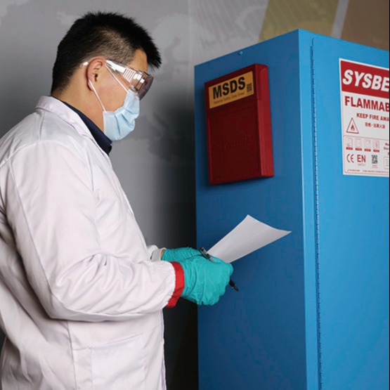 西斯贝尔SYSBELWA810122W 废液柜，PP酸碱废液柜，实验室危险化学品废液储存柜图片