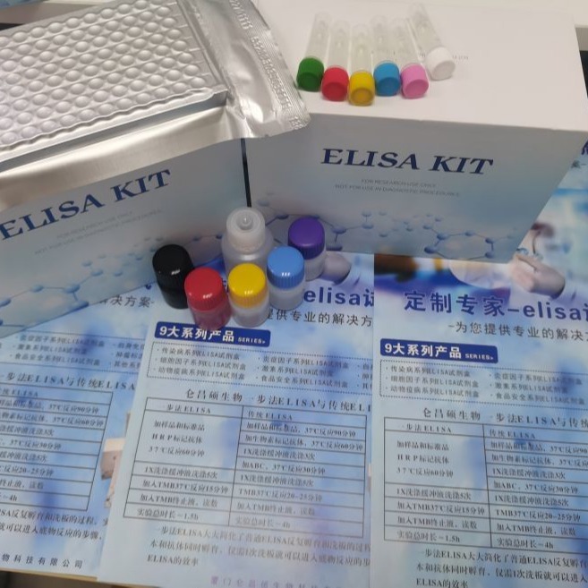 人趋化因子配体17试剂盒 CXCL17 elisa试剂盒 仑昌硕生物