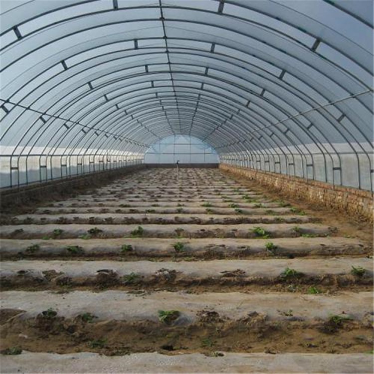 保温式蔬菜大棚 温室草莓拱棚建设  旭航温室工程建设厂家图片