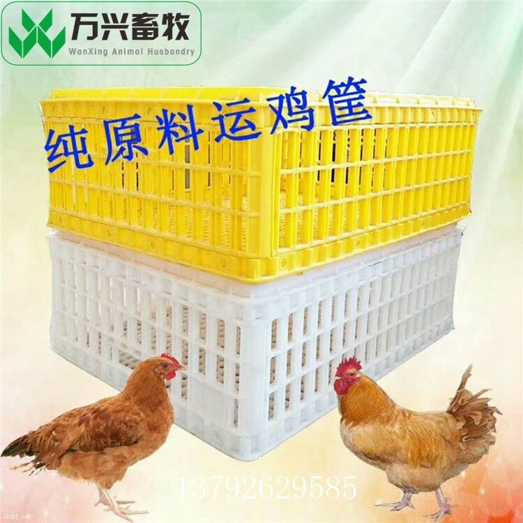 供应万兴畜牧周转运输鸡笼运输筐 规格74×55.5×23cm
