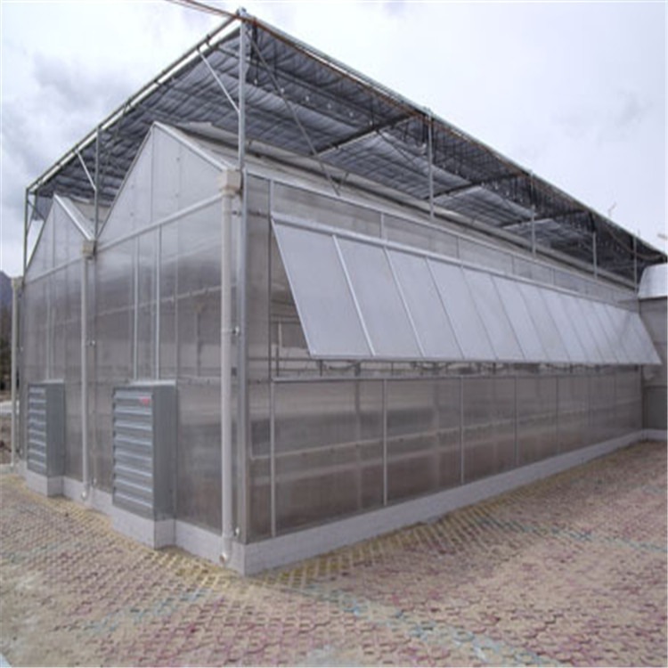 精品温室大棚建造 吉林阳光板温室建设安装  旭航温室