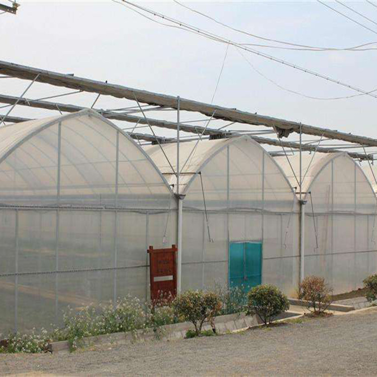 连栋大棚 外遮阳薄膜连体棚 多功能蔬菜大棚博利农业 建造