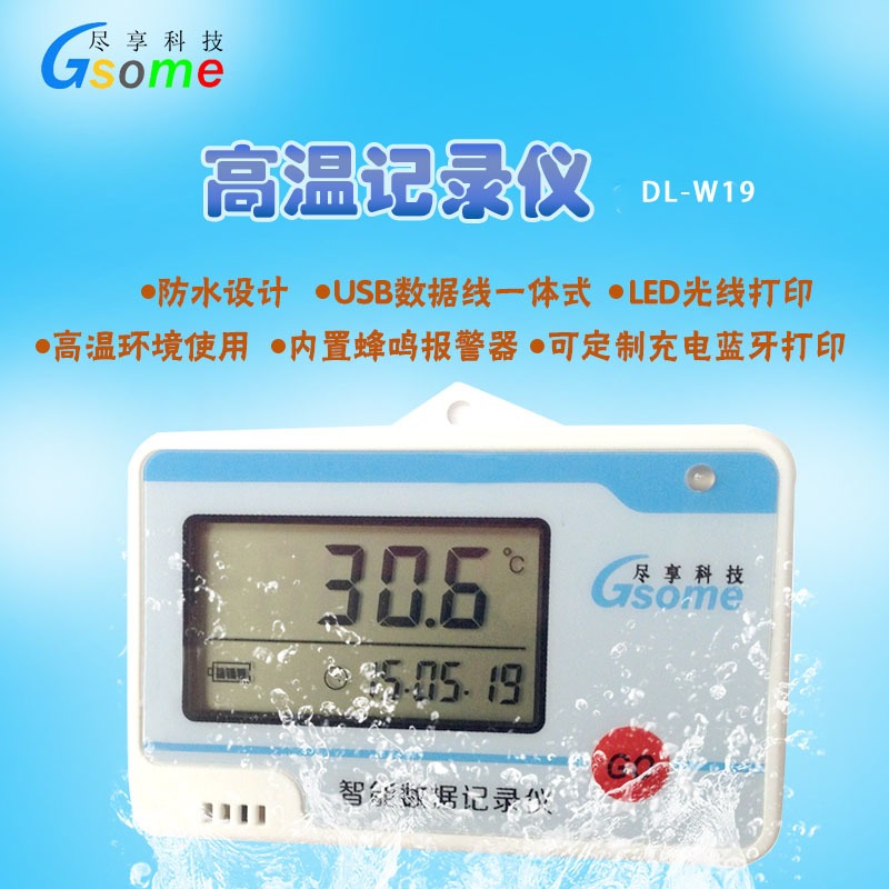双路高温温度记录仪DL-W29小壳温度记录仪-50℃-600℃小型温度记录仪