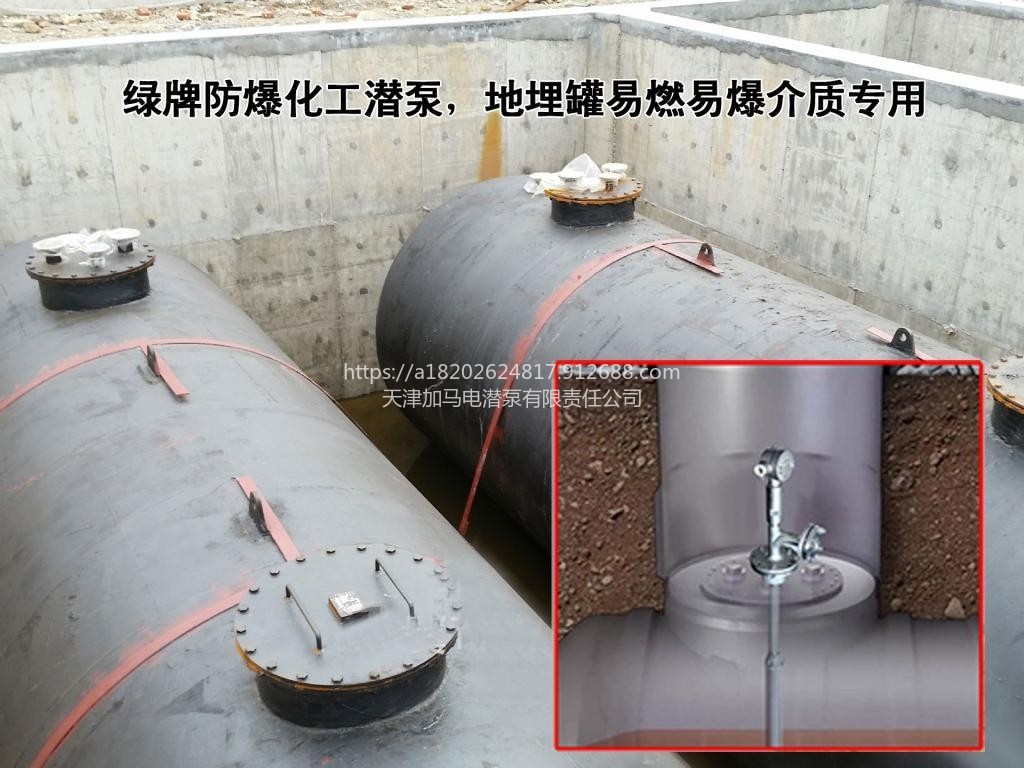 天津绿牌双氧水碳钢防爆潜泵高扬程