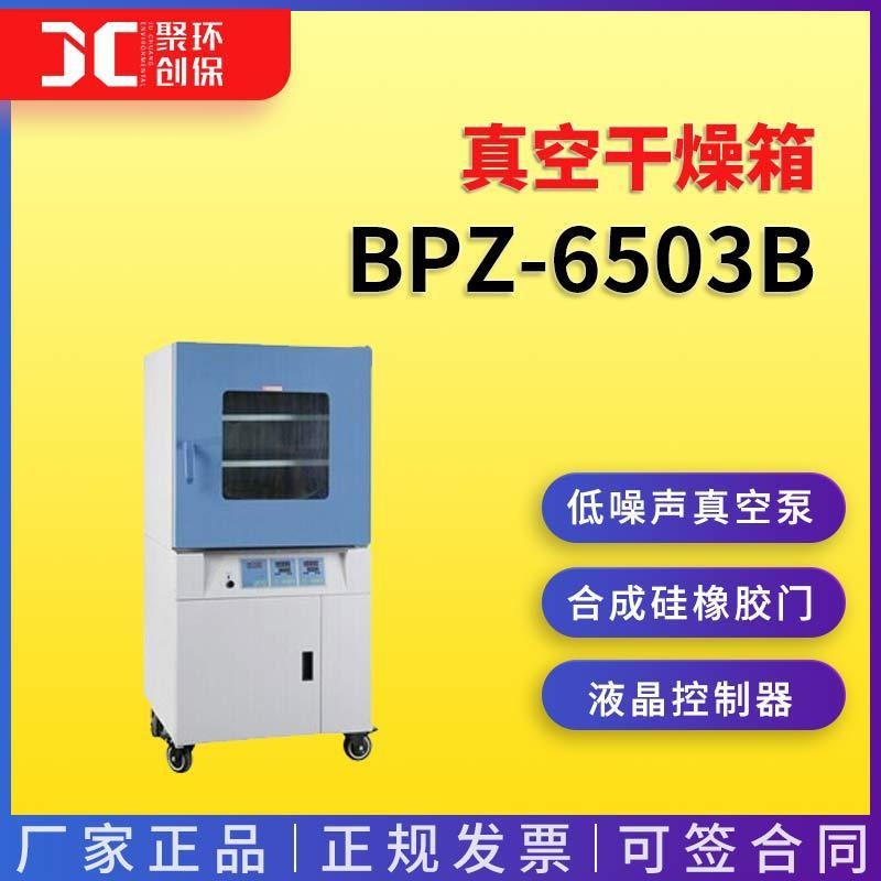 上海一恒真空干燥箱(程序液晶控制器)BPZ-6503B\62003B\6933B图片