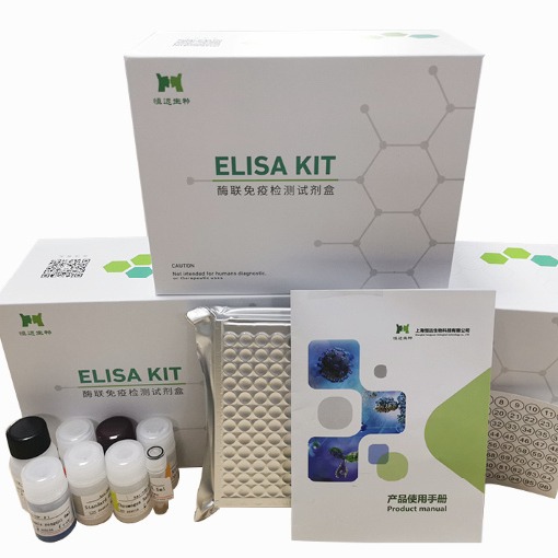 恒远生物西瓜细菌性果斑病(WBFB) ELISA试剂盒  定性联免疫厂家