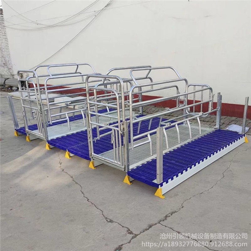 厂家供应重庆开州等地欧式母猪产床 双体复合板猪产床可定制
