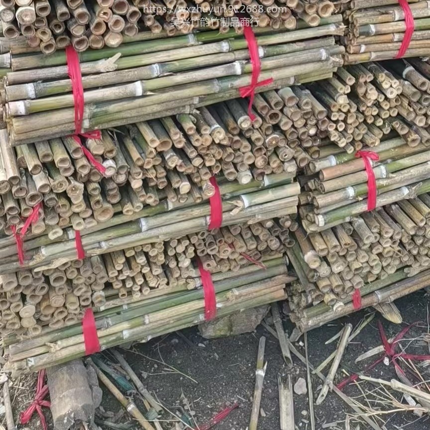 小竹子支撑辣椒用竹片原产地大量批发 种菜竹竿价格 大号竹子批发