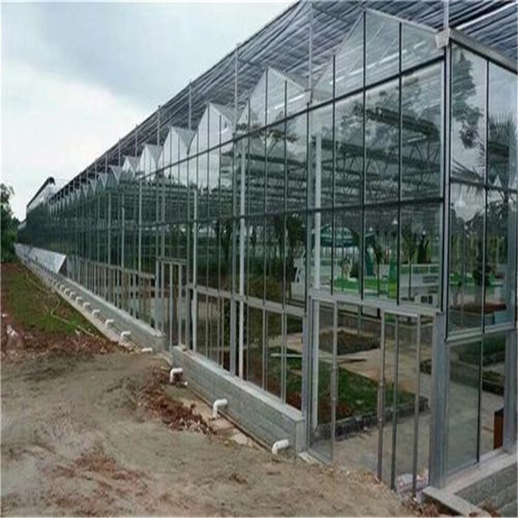 养大鹅养殖大棚  休闲玻璃温室造价  旭航温室工程建设厂家