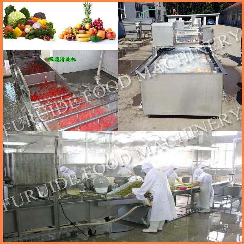 菌类蔬菜清洗机 QX-800型韭菜清洗机 蔬菜清洗专用设备 富瑞德厂家
