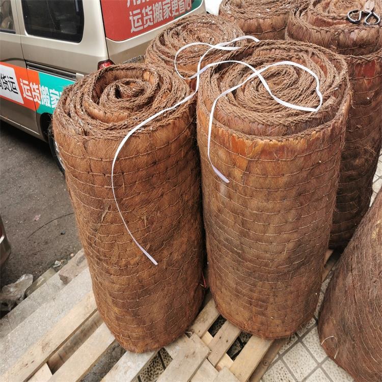 棕垫批发 大量二手棕垫出售 学校宿舍用棕榈80厘米床垫