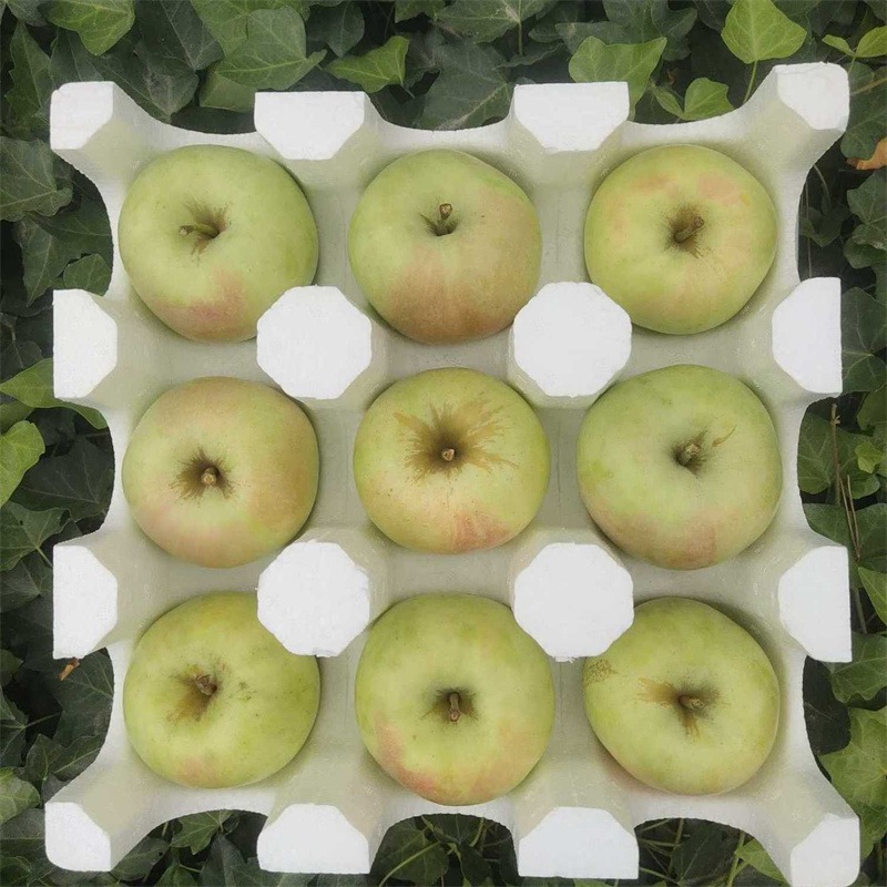 明月苹果苗一棵价格 河北明月苹果树苗基地信息 欢迎订购 泰安兴红农业