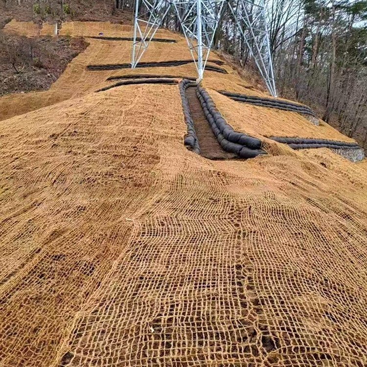 喷薄绿化网手工编织椰网 矿山复绿用CF网椰纤维网植草护坡
