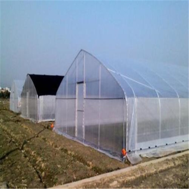 葡萄育苗温室建造价格  包塑管养殖大棚  旭航温室工程建设厂家