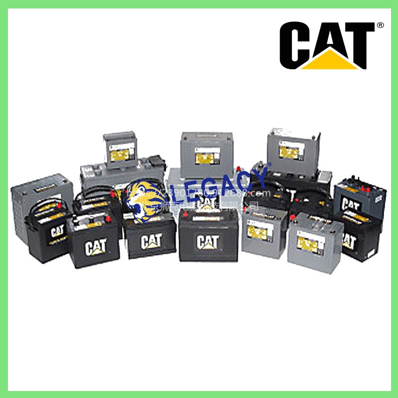 美国CAT蓄电池250-0480,12V100AH电池-云南供应处