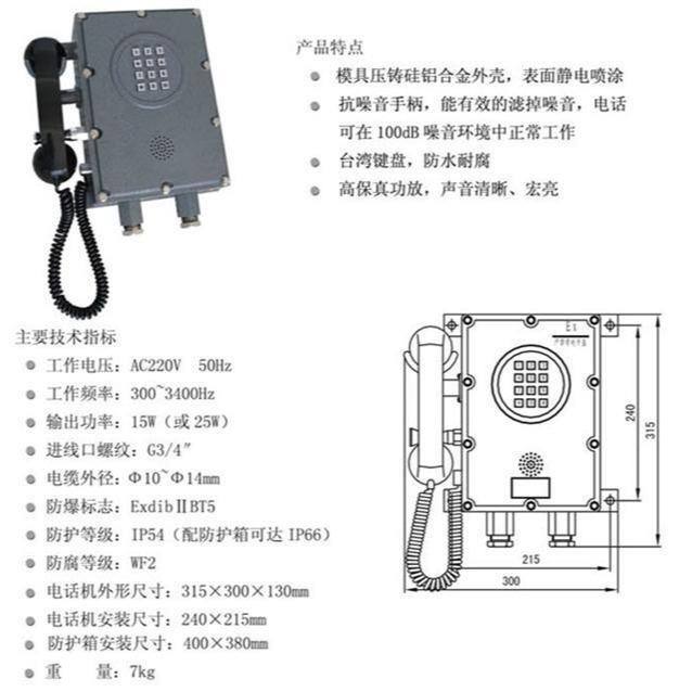 HZBA型扩音呼叫防爆自动电话机+DYS型防爆扬声器型号:FF20-HZBA库号：M334457图片