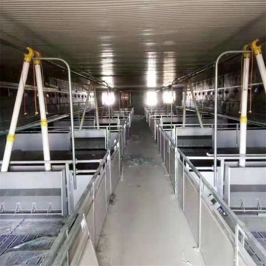 养猪自动料线 猪用自动化料线 养猪自动料线配件 定制安装 猪哈哈畜牧