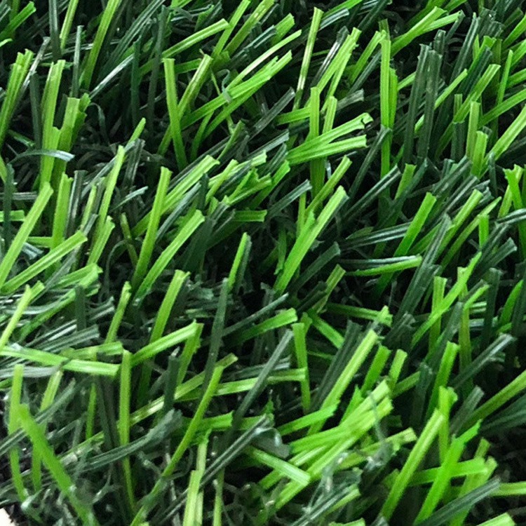运动场仿真塑料草坪 围挡绿草皮 君泰 人造草坪 价位合理图片