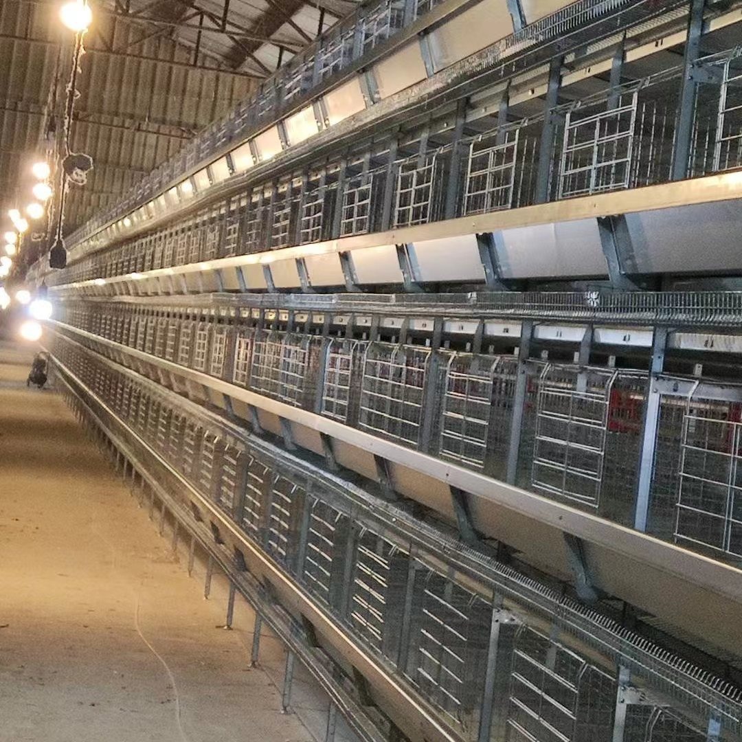 养鸡设备 厂家直销 层叠式 阶梯式 蛋鸡笼 肉鸡 育雏 种鸡 本交笼 自动喂料机 捡蛋机 清粪机环境控制 柏业机械