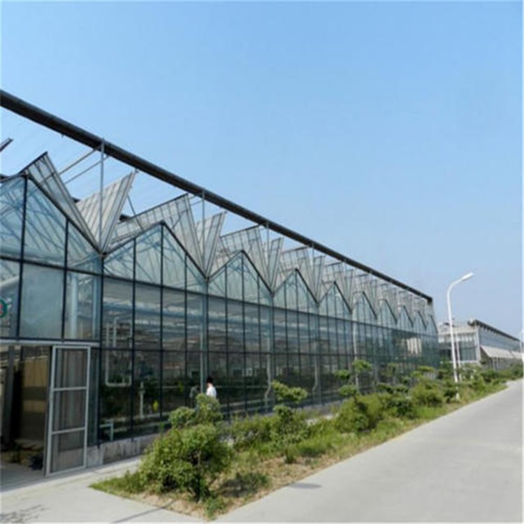 泰安玻璃大棚 日光温室大盆设计与报价 旭航温室工程建设厂家图片
