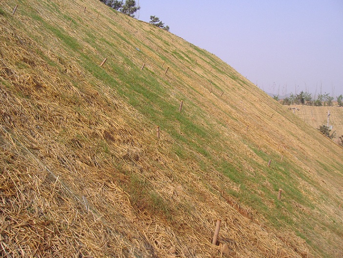 众汇煤矿生态恢复椰丝草毯荒山植被快速绿化
