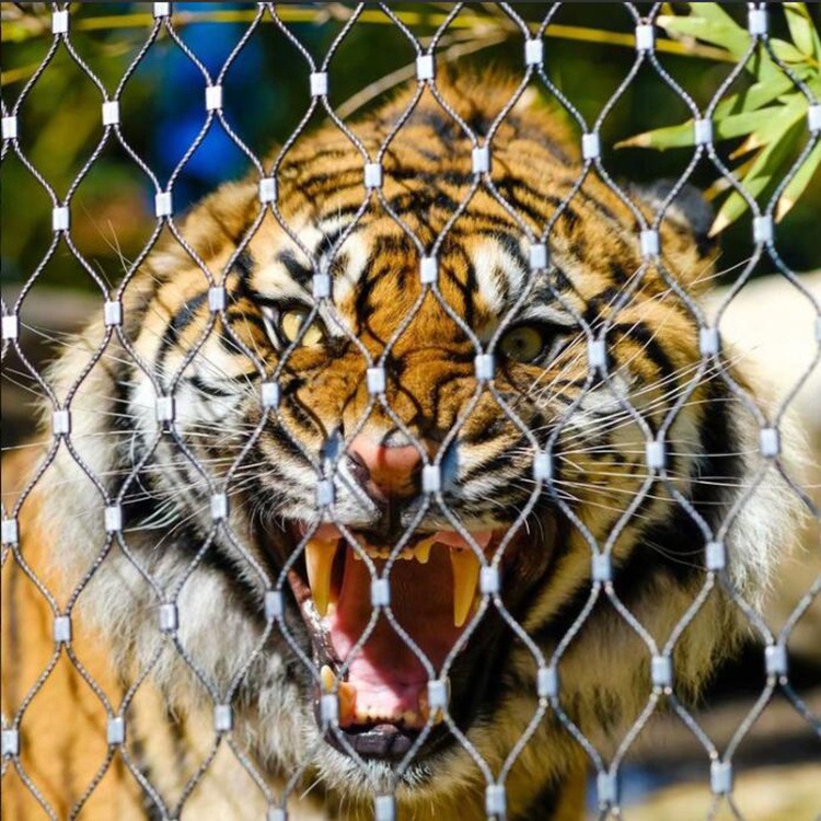 动物园圈狮子老虎用的钢丝网动物笼舍网不锈钢绳网
