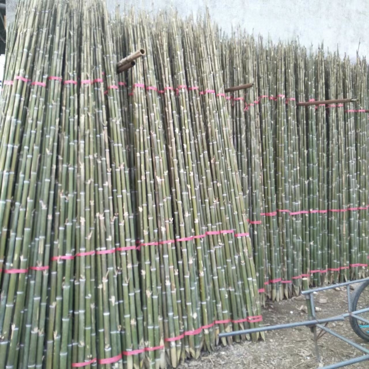 源头供应树木支撑竹竿 大棚竹梢 蔬菜架竹品种齐全 欢迎来电选购