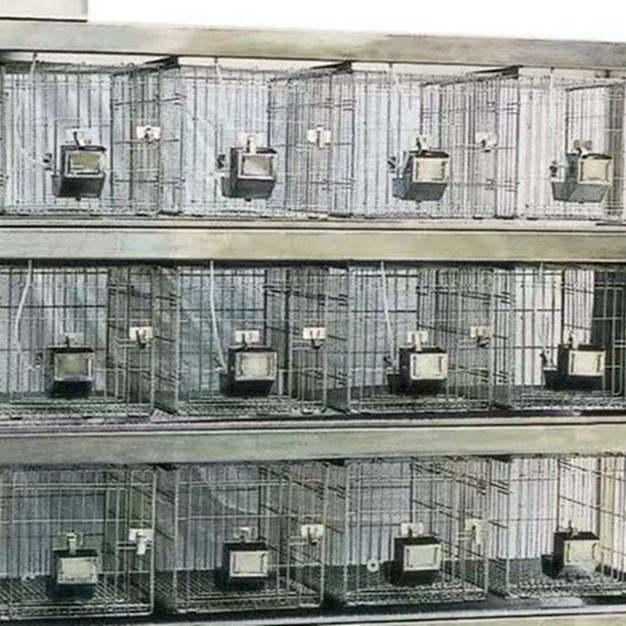 F兔笼盒-不锈钢饲养兔笼 型号:JV222-RB42库号：M131546 中西图片