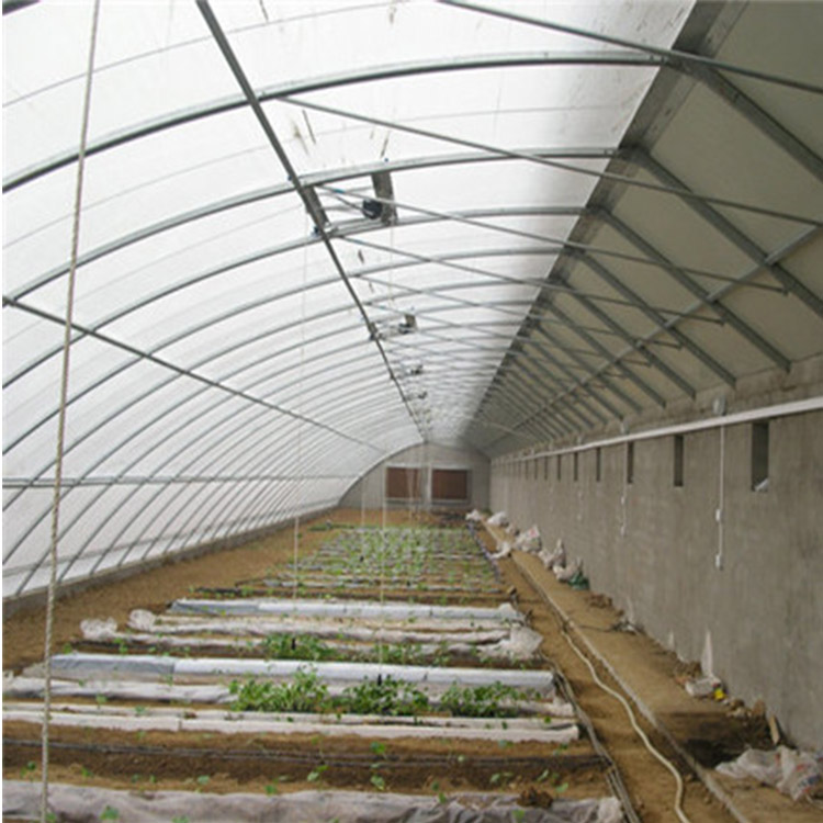 暖棚半坡式大棚  种植草莓大棚 保温防雨 博利品牌制作