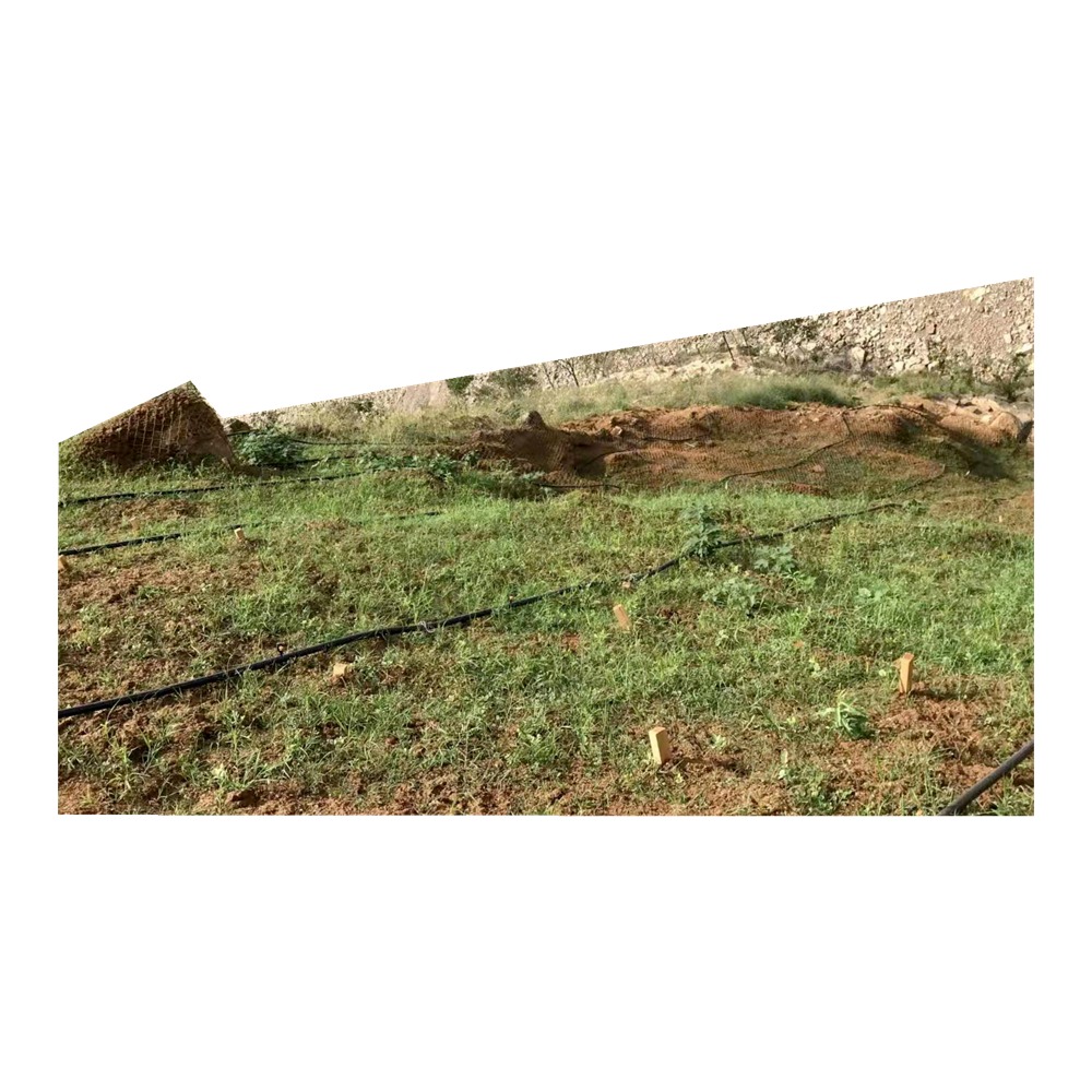 高次团粒喷播绿化山坡种草籽喷播施工