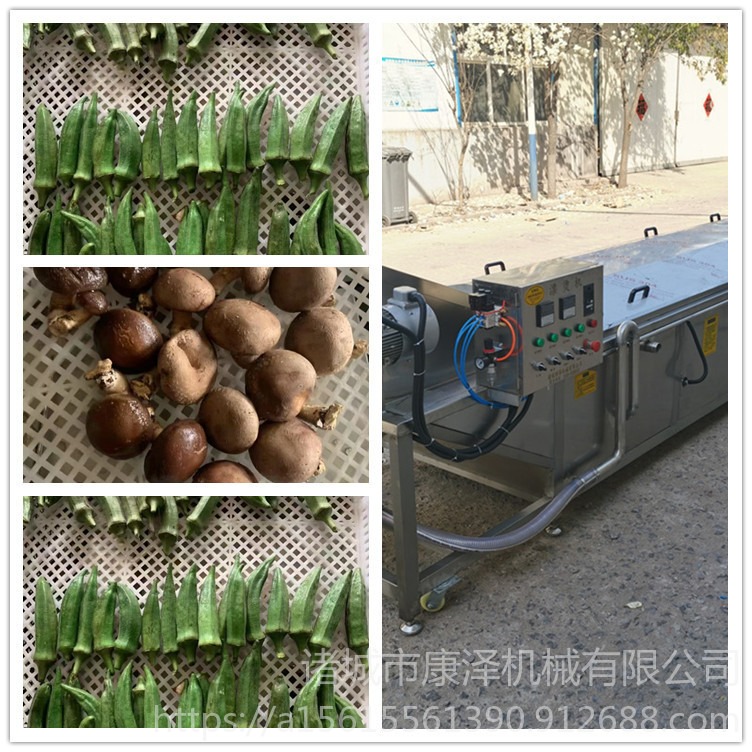 牛肝菌漂烫机 连续式杏鲍菇漂烫机 食用菌加工成套设备  康泽SZ5000型图片