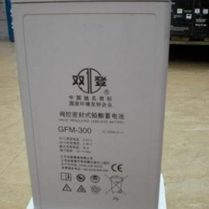 双登GFM-300 /2V/300AH铅酸免维护蓄电池风电发电储能系统通用铅酸电池