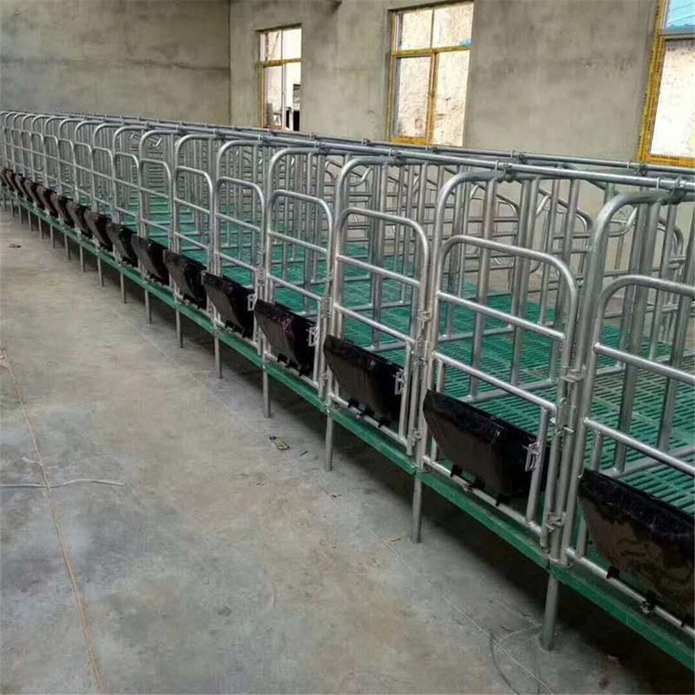 世昌畜牧供应 母猪定位栏 猪用限位栏 养殖设备