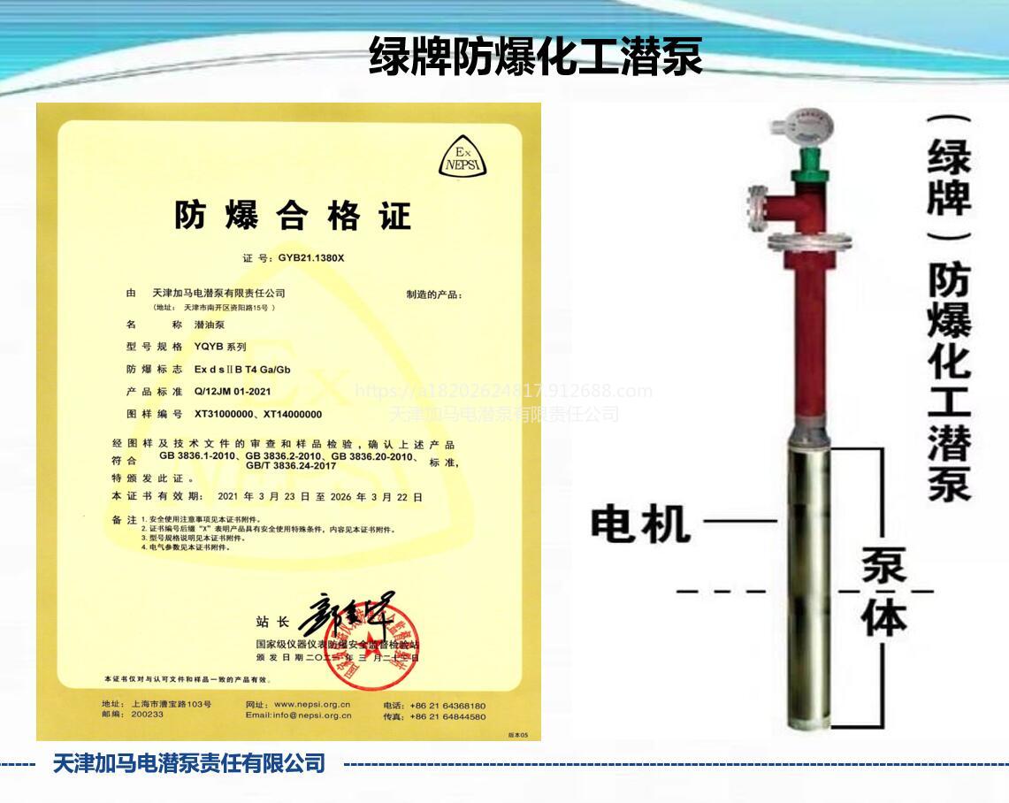 天津绿牌高扬程0区防爆液下泵适用地下罐160种化工介质