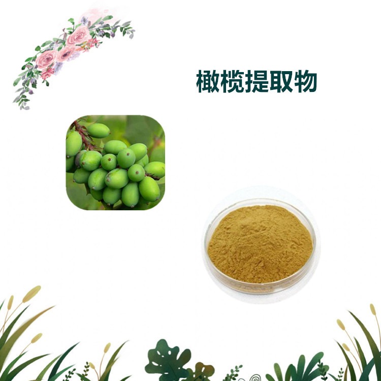 益生祥生物 橄榄提取物 青果速溶粉 浸膏 多规格可定制