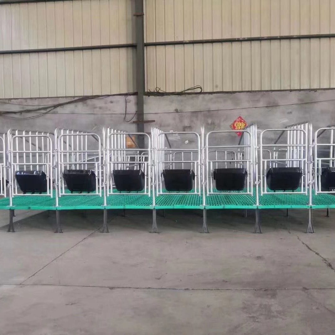 星恒机械猪围栏 限位床育肥栏 母猪定位栏10个猪位栏带槽定位栏养猪设备
