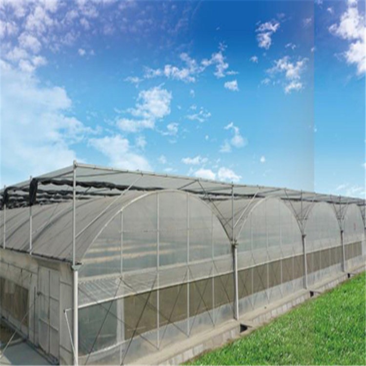 pc阳光板温室大棚搭建 现代化大型连栋温室 旭航温室大棚建设