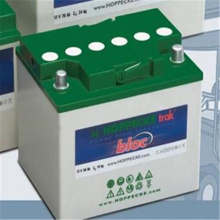 现货供应荷贝克蓄电池OPZS350免维护胶体蓄电池12V24AH UPS电源专用